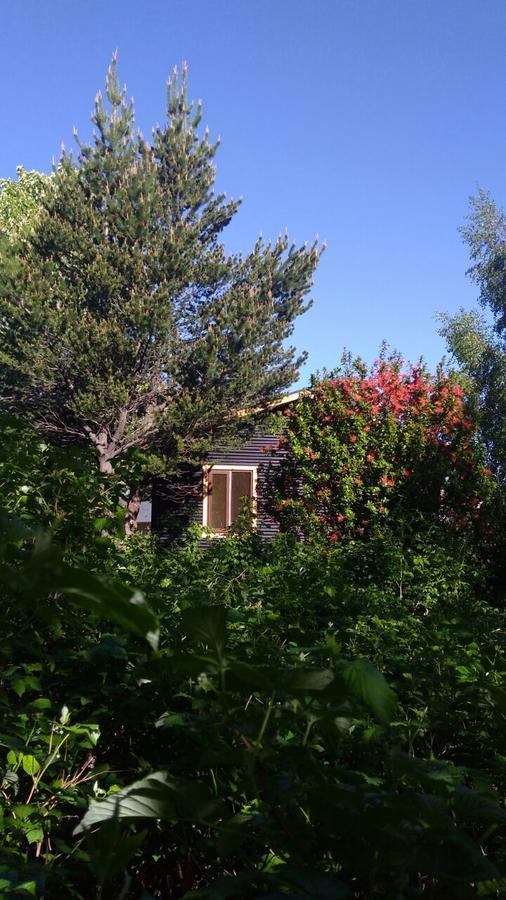 Cabanas Kuyen Coyhaique Exteriör bild